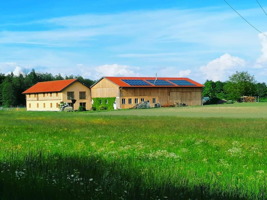 Niedergerner Alpaka Ranch Apartment Haiming Ngoại thất bức ảnh